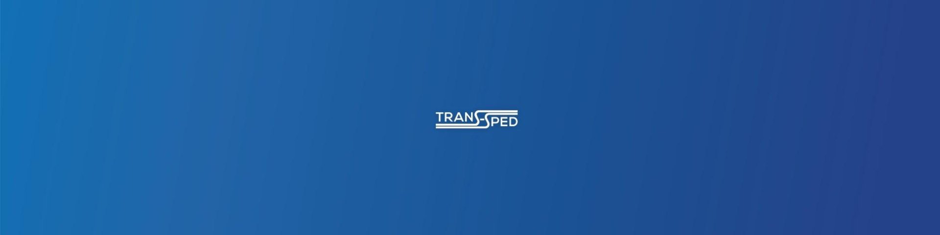 PALETTETTENLIEFERUNG BEI TRANS-SPED