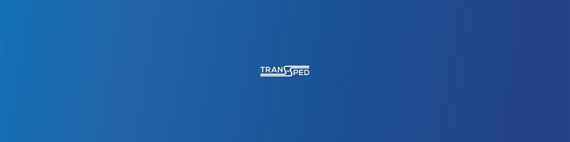 Groupage transportation service from Trans-Sped